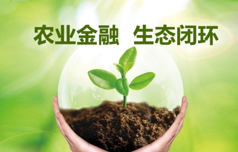 信和大金融 結(jié)合三位一體政策，擘畫農(nóng)業(yè)四步戰(zhàn)略新藍(lán)圖——青海新聞網(wǎng)金融產(chǎn)業(yè)速遞
